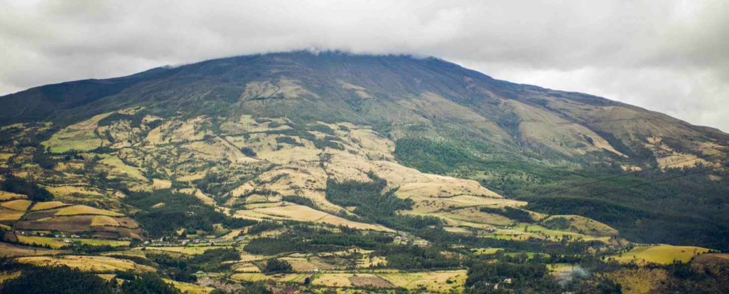 Colombia Altura Espresso