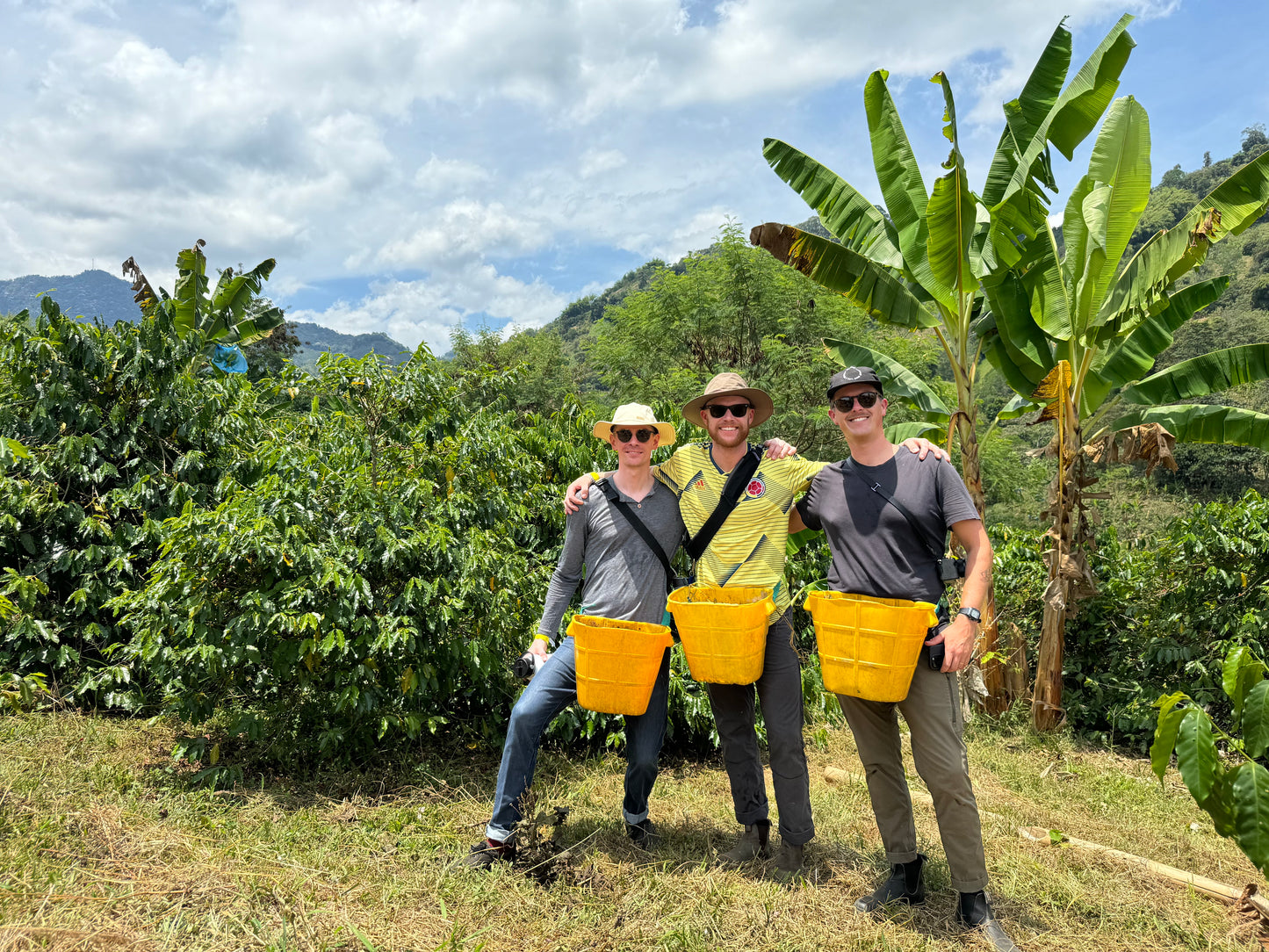 Colombia Altura Espresso