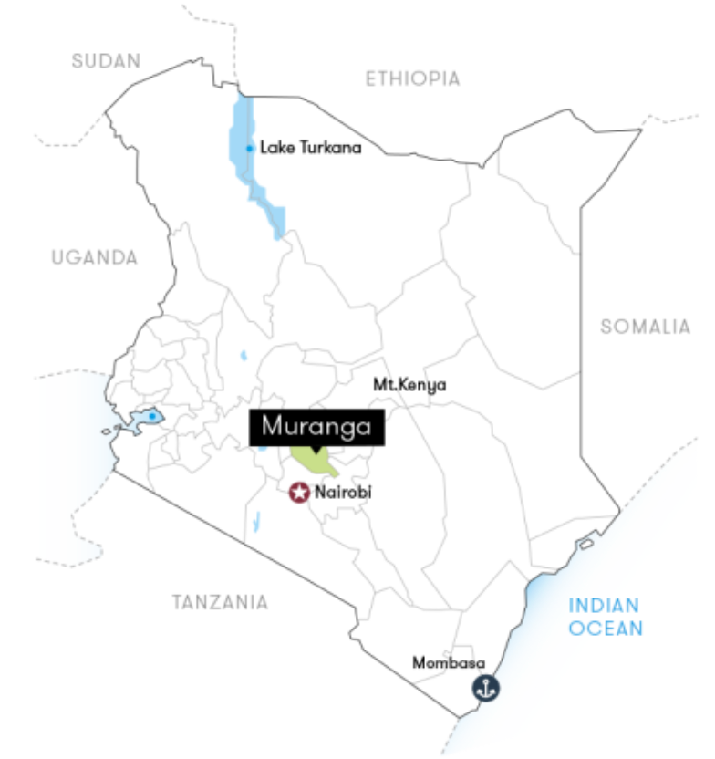 Kenya AA - Gitura